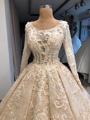 Robe de mariée princesse dentelle luxueuse | Robe de mariage princesse manches longues_4