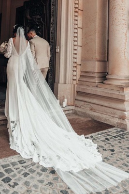 Magnifiques robes de mariée avec manches | Robes de mariée sirène en dentelle_2