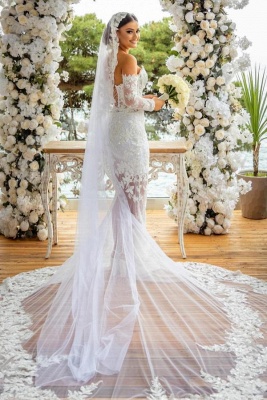 Robes de mariée sirène élégantes | Robe de mariée en dentelle_3